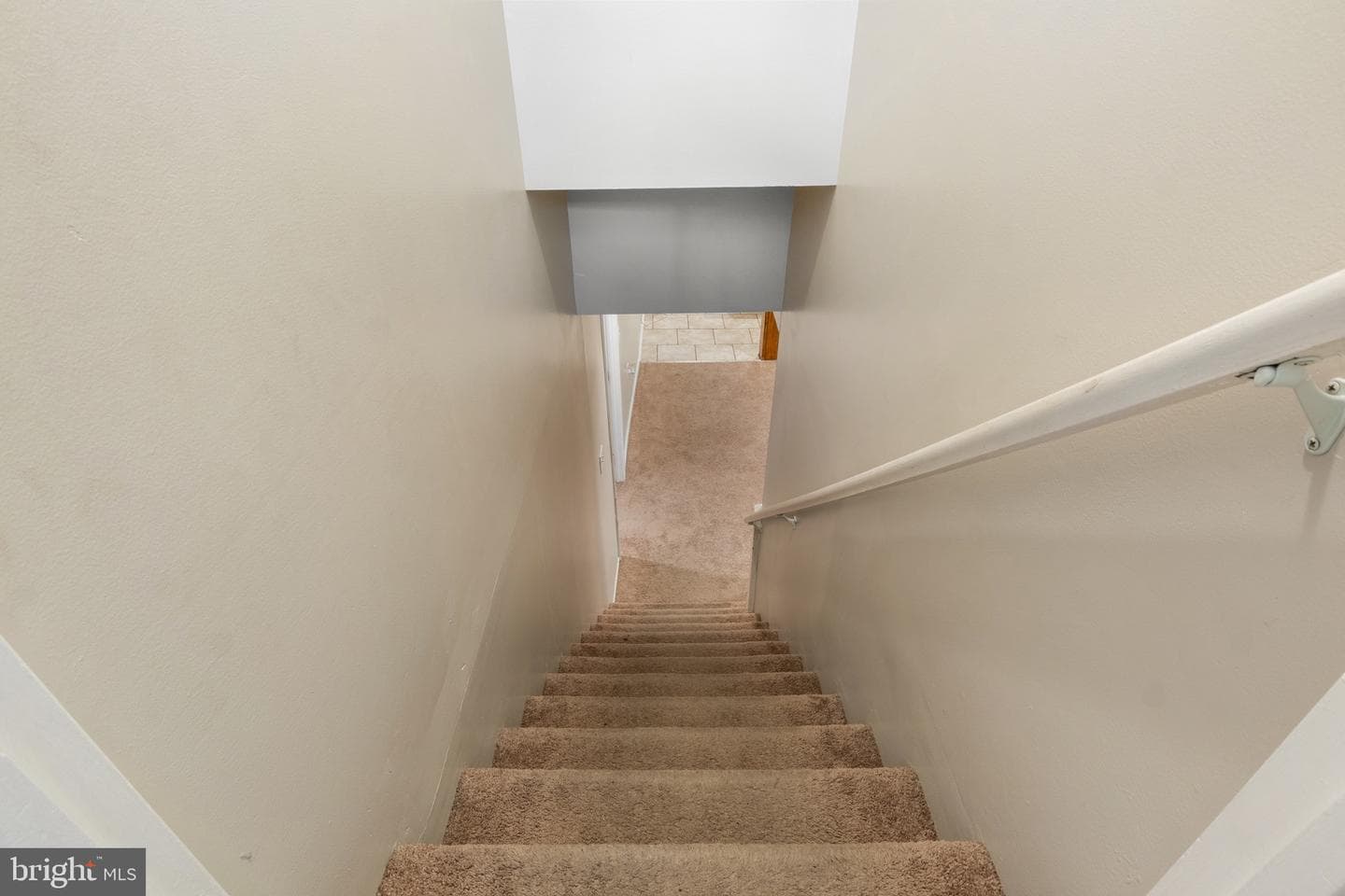 221 Russell Avenue photo 19