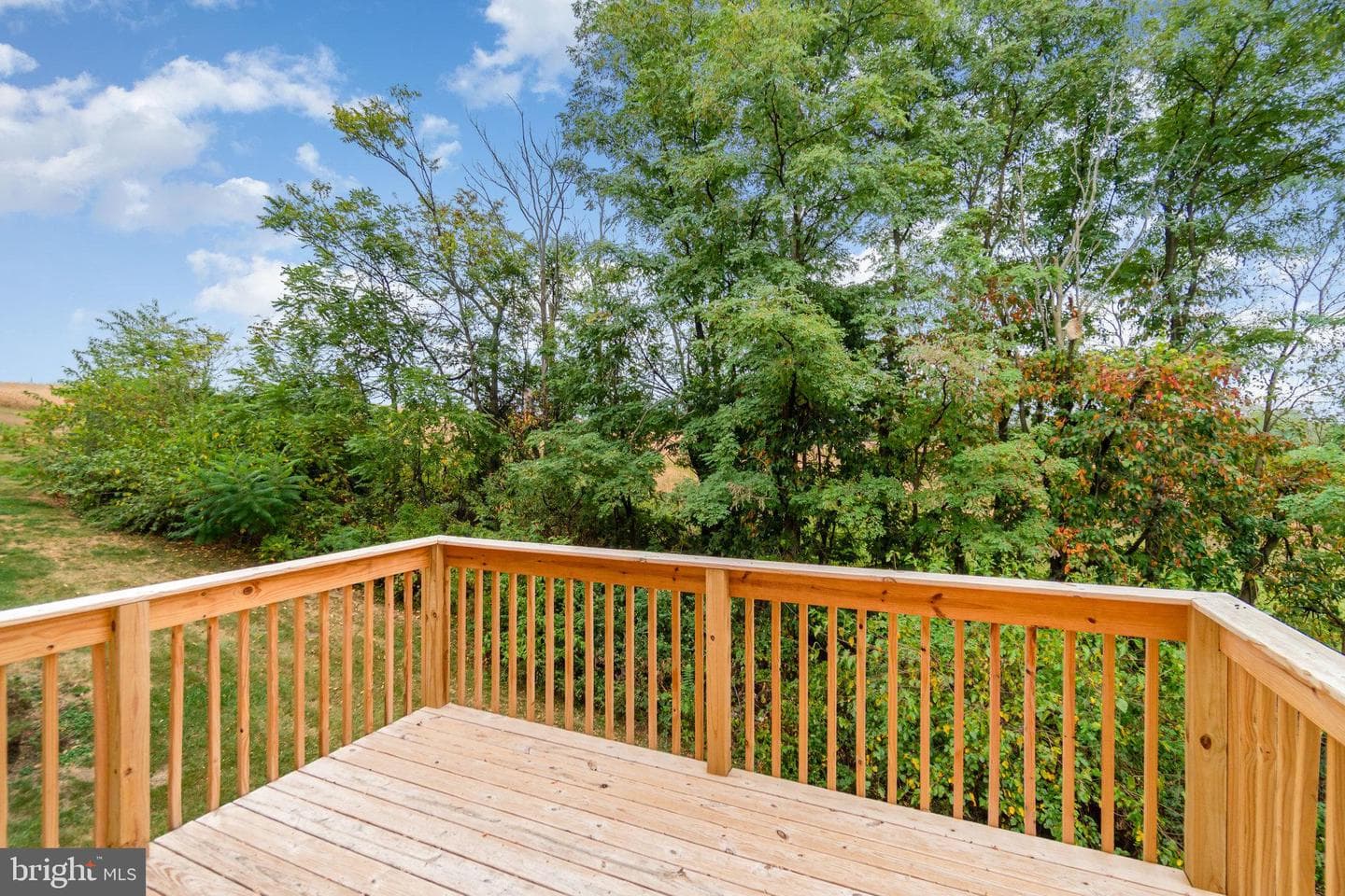 191 Chartwood Drive photo 21