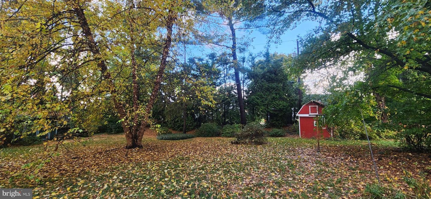 4846 Londonderry Road photo 17