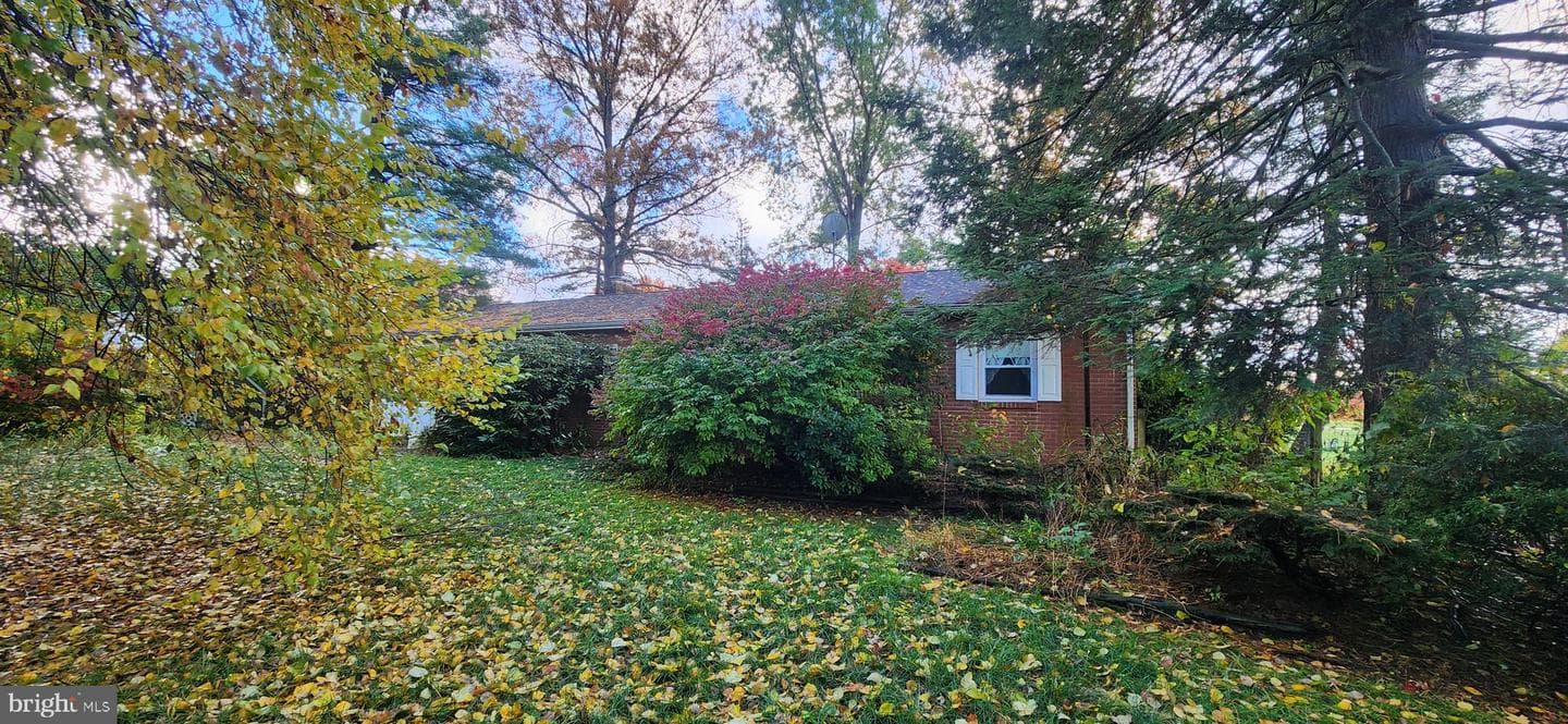 4846 Londonderry Road photo 9