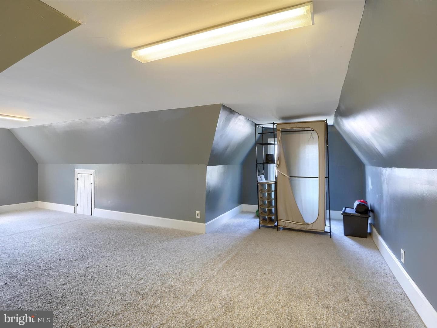 241 Pine Street photo 29