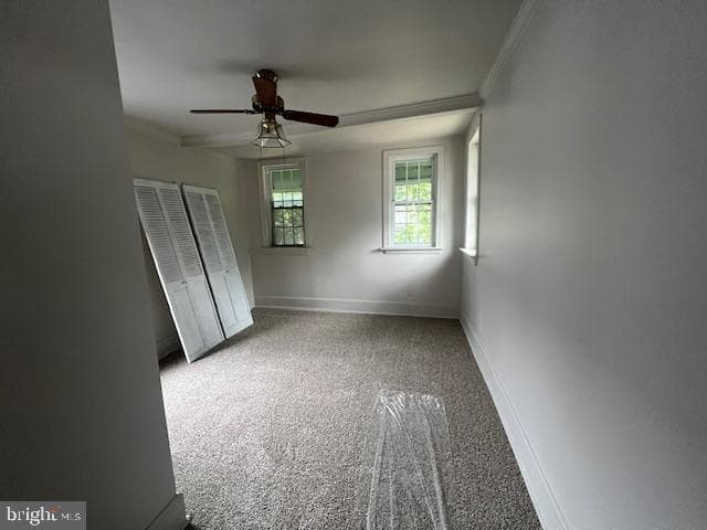 115 Balm Street photo 10