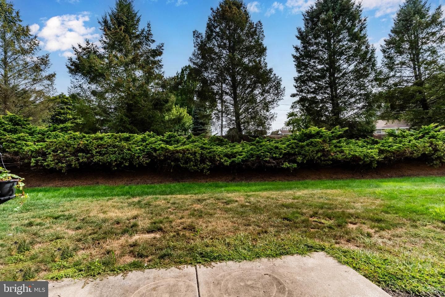 149 Cardinal Lane photo 26