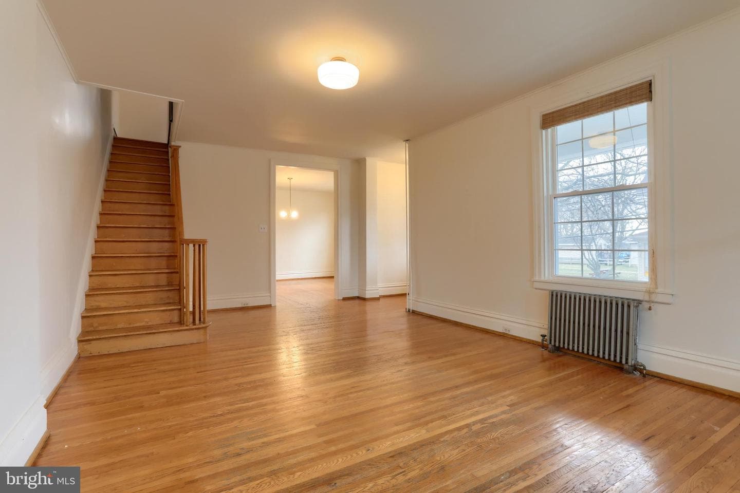 229 Cocoa Avenue photo 10