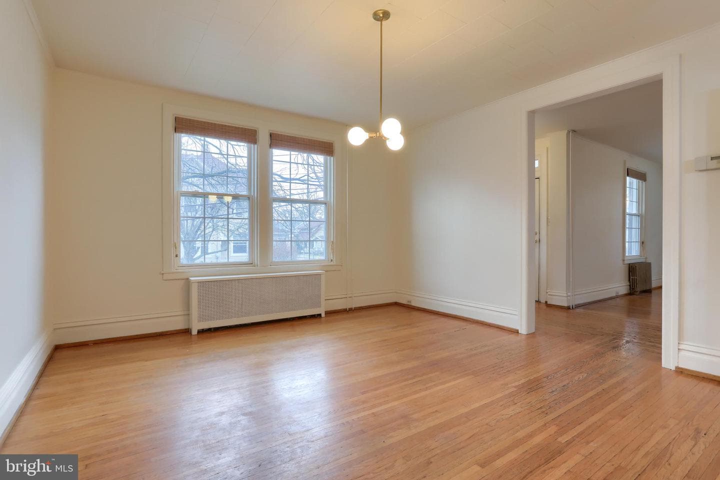 229 Cocoa Avenue photo 14
