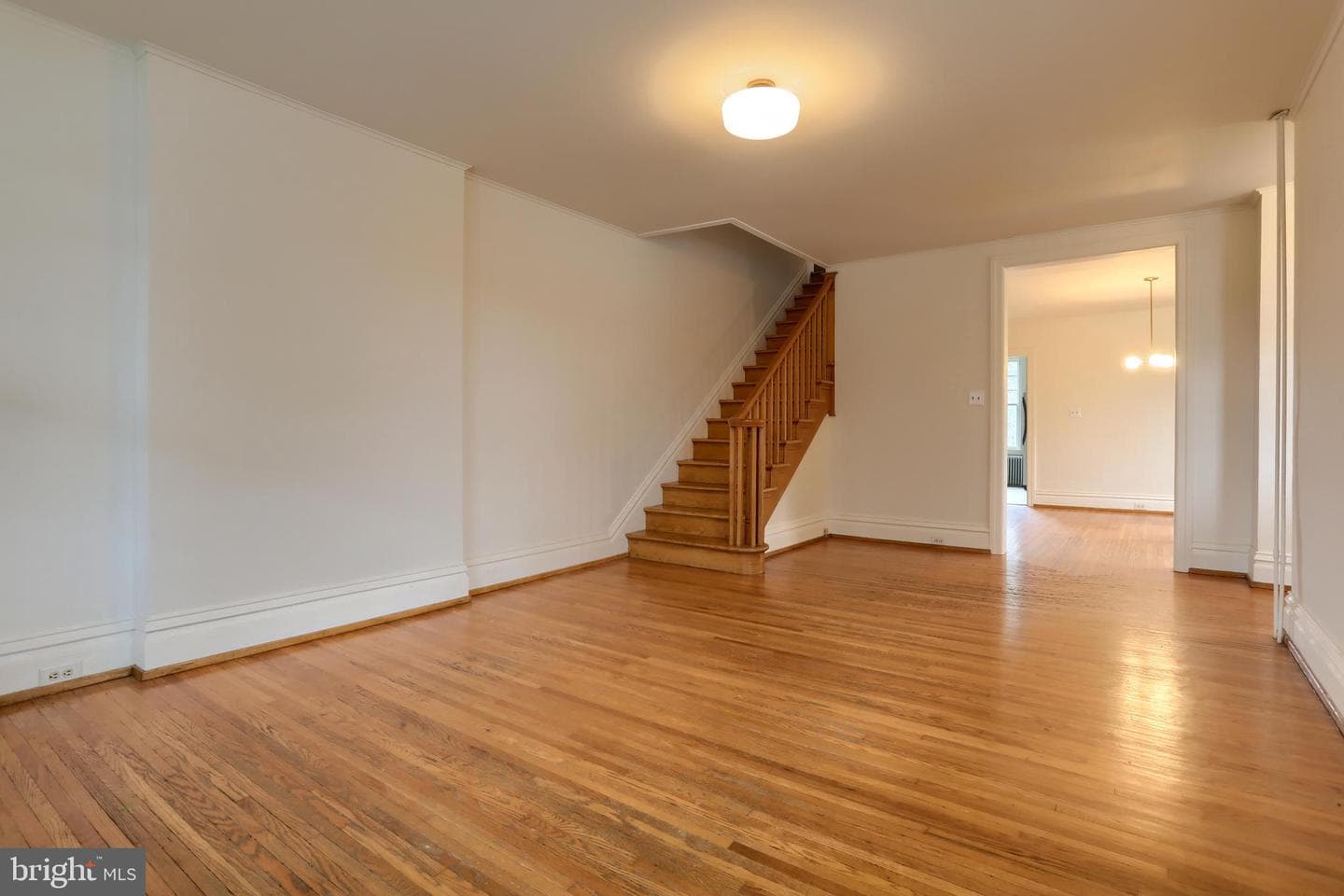 229 Cocoa Avenue photo 9