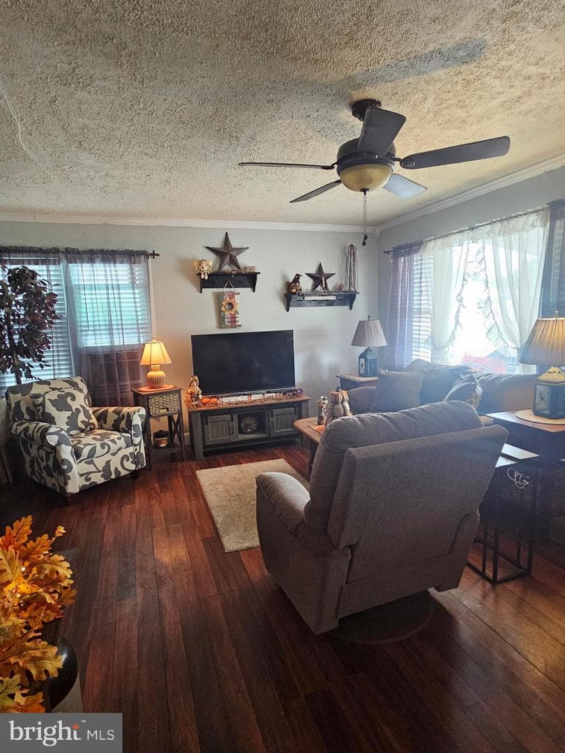 43 Shirley Drive photo 10