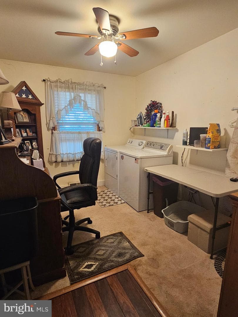43 Shirley Drive photo 15