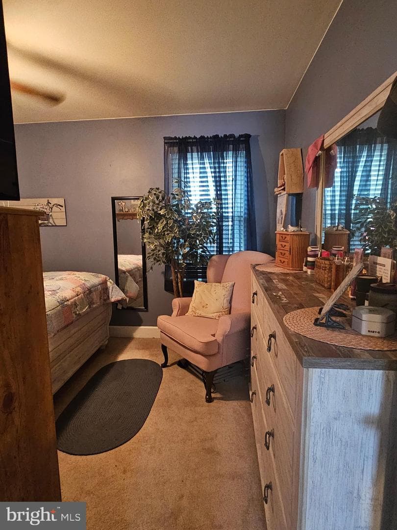 43 Shirley Drive photo 16
