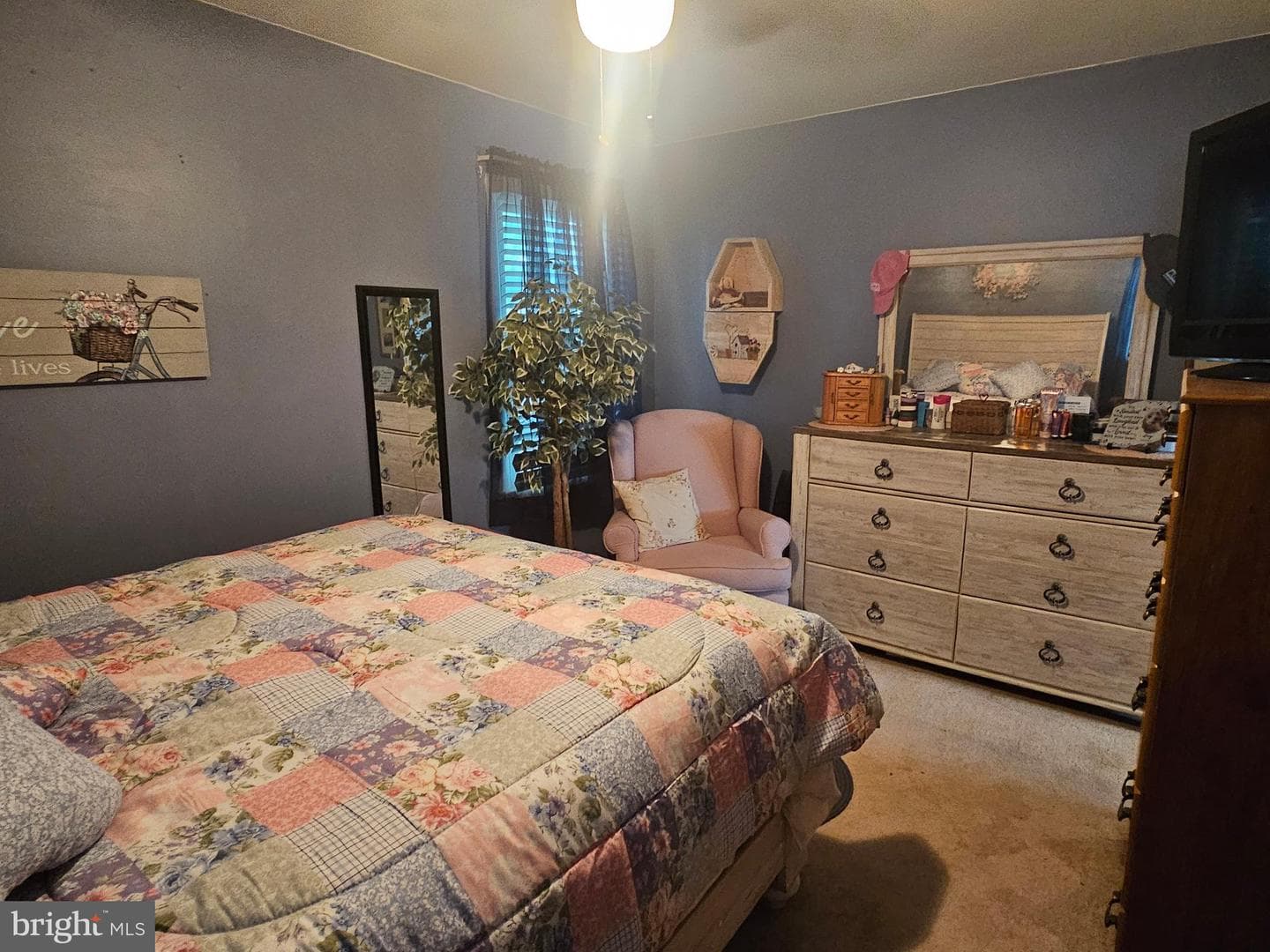 43 Shirley Drive photo 18