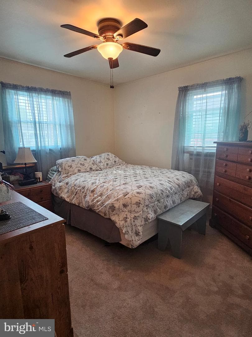 43 Shirley Drive photo 19
