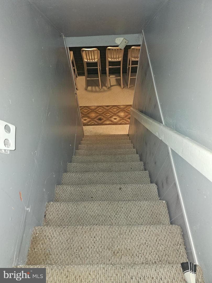43 Shirley Drive photo 22