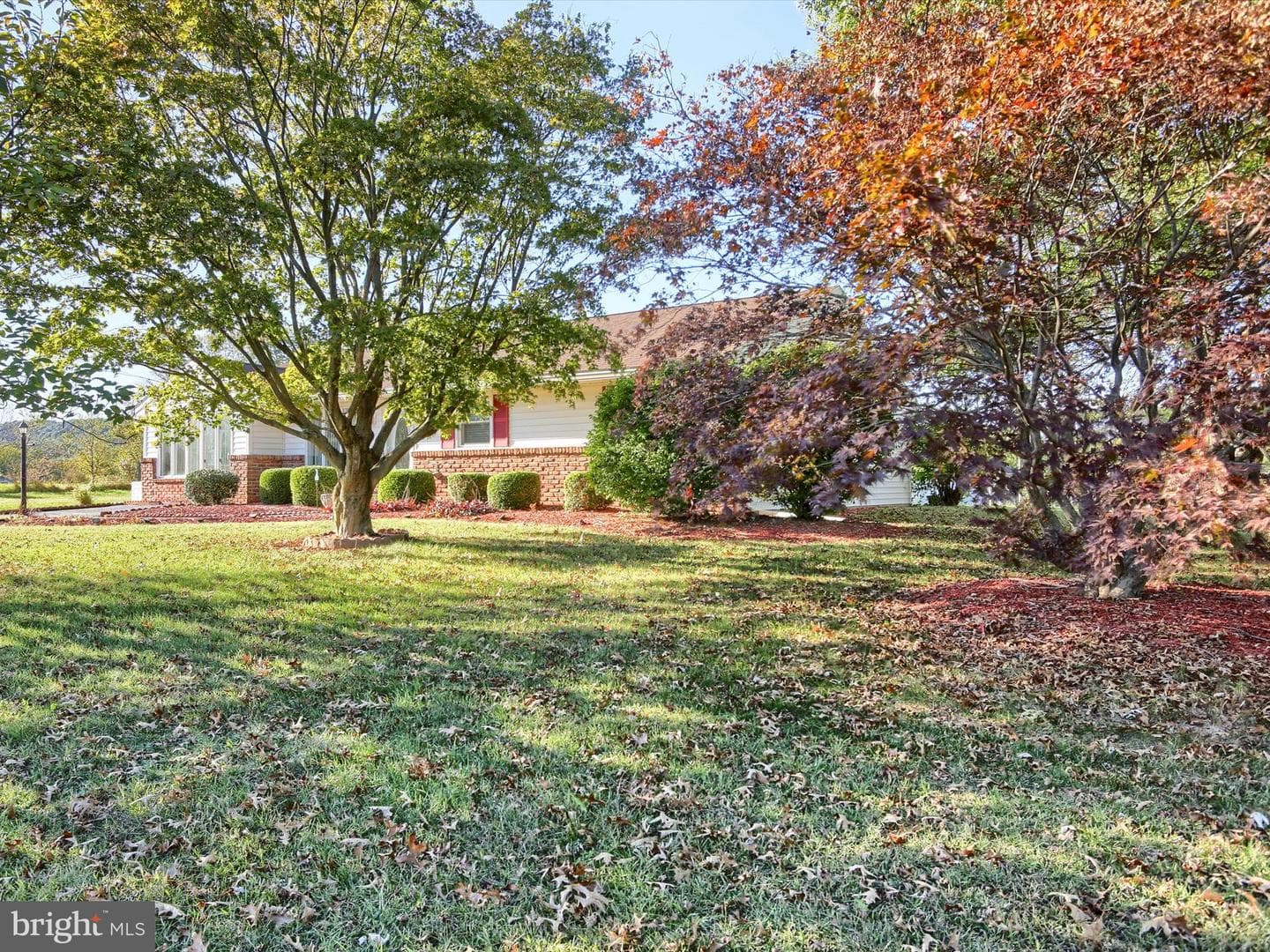 473 Ridge Road photo 4