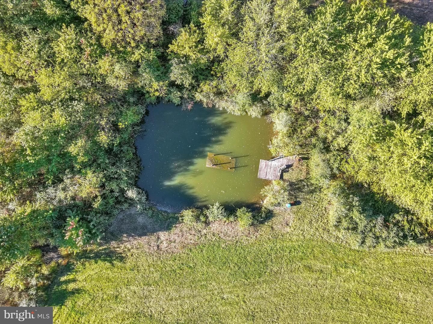 473 Ridge Road photo 57