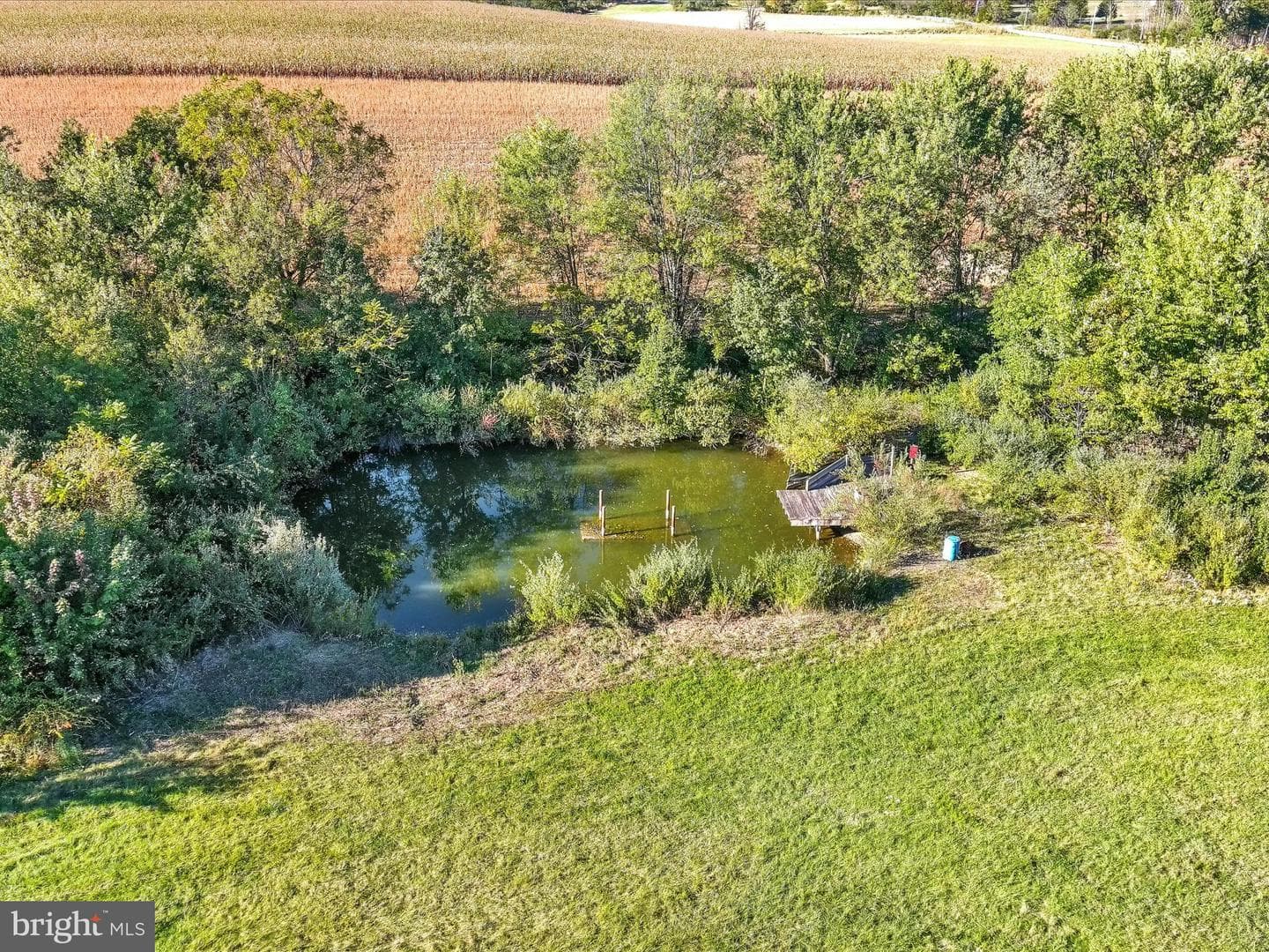473 Ridge Road photo 58