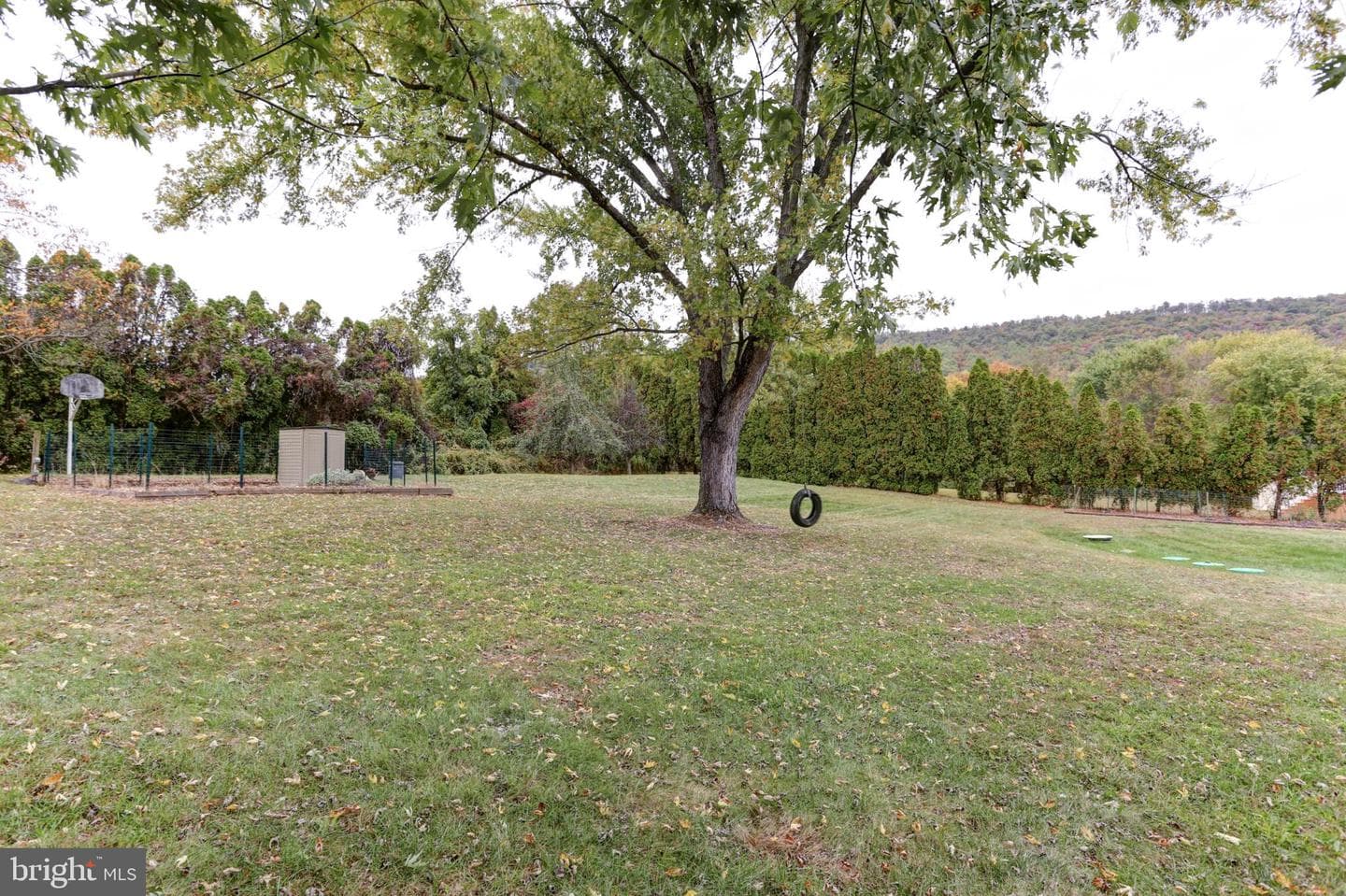 1650 Hicks Drive photo 11