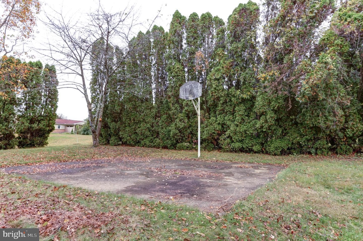1650 Hicks Drive photo 7