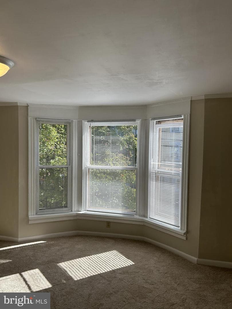 412 Boas Street photo 29