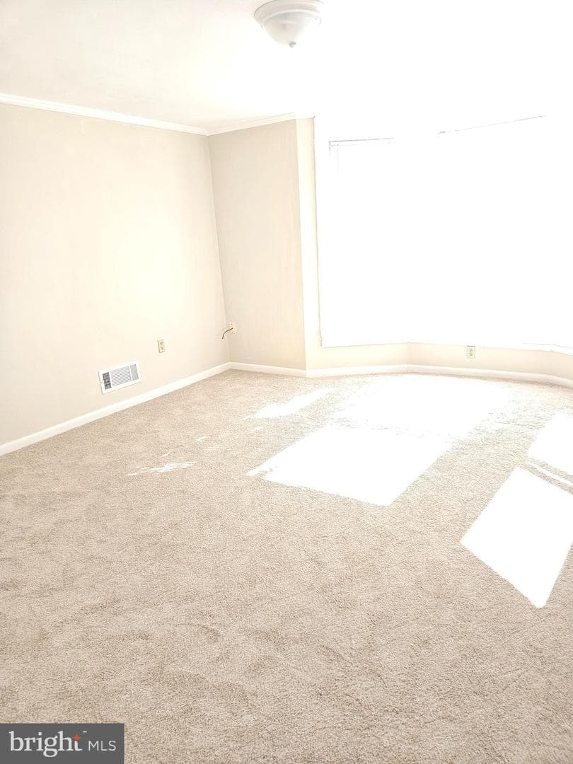 412 Boas Street photo 8