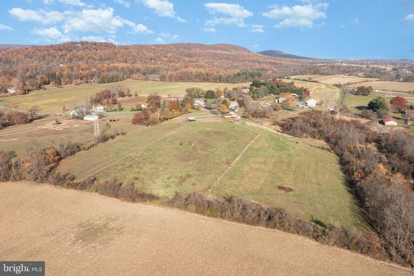 1008 Piketown Road photo 40