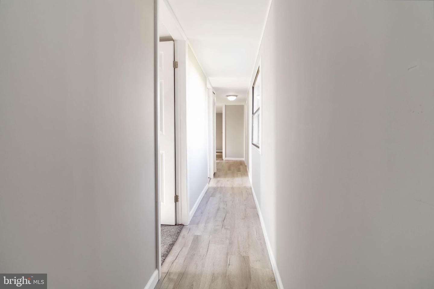 21 Rose Avenue photo 11