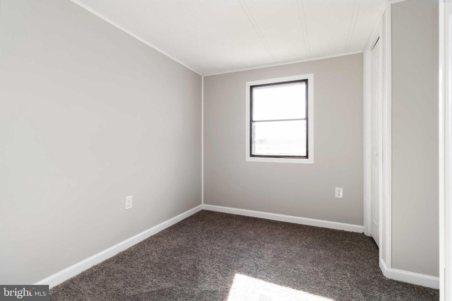 21 Rose Avenue photo 14