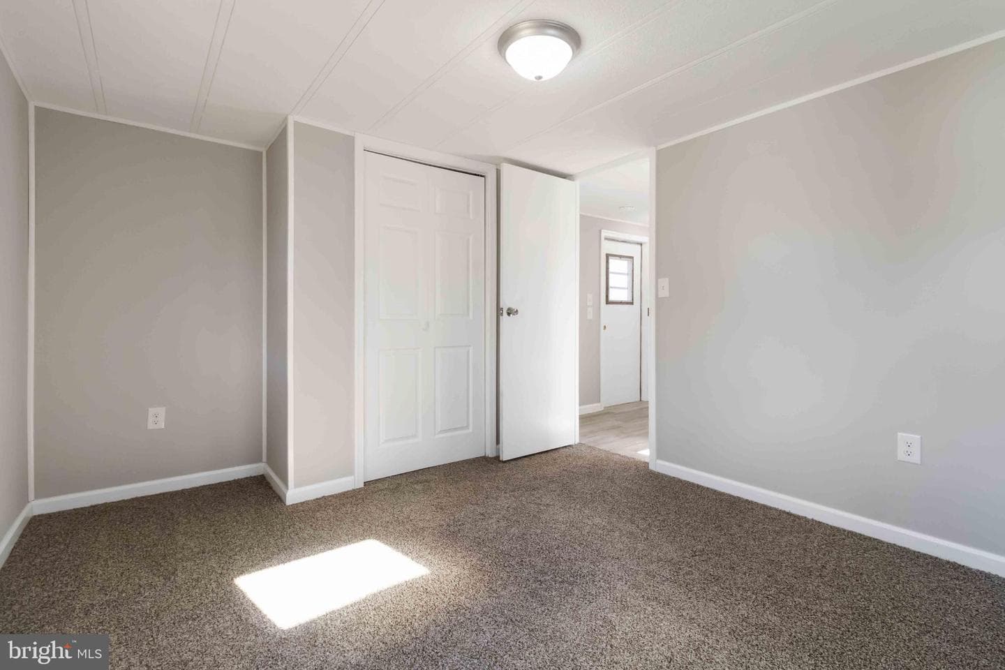 21 Rose Avenue photo 19