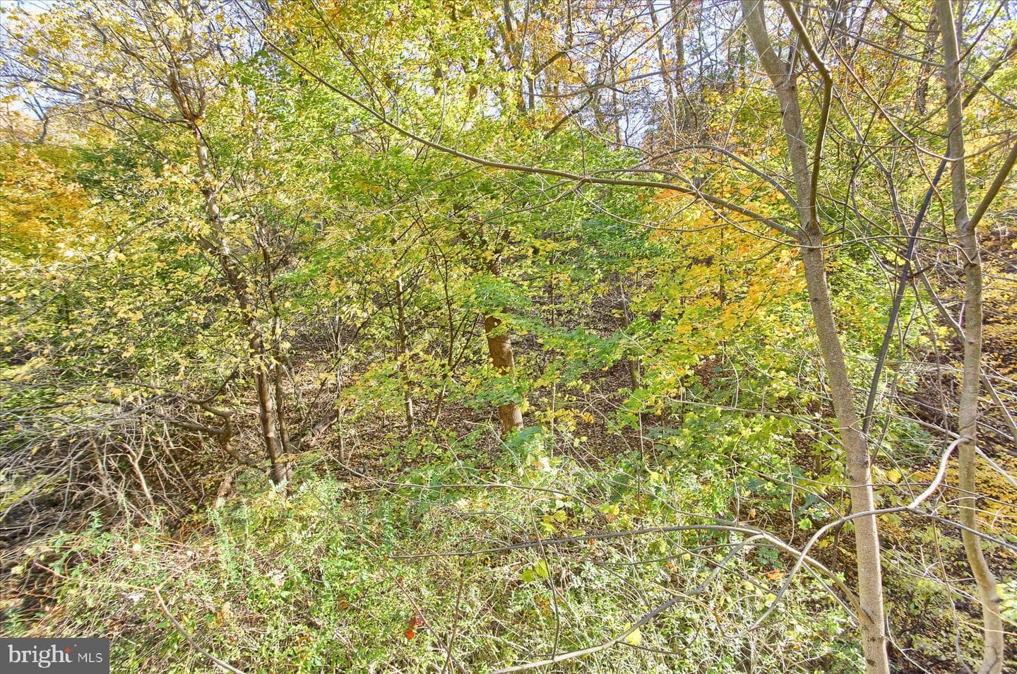1025 & 1029 Roberts Valley Road photo 36