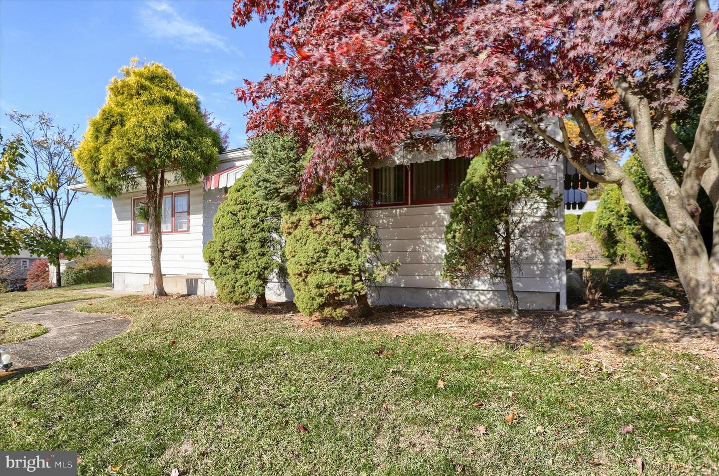 555 Pine Street photo 3