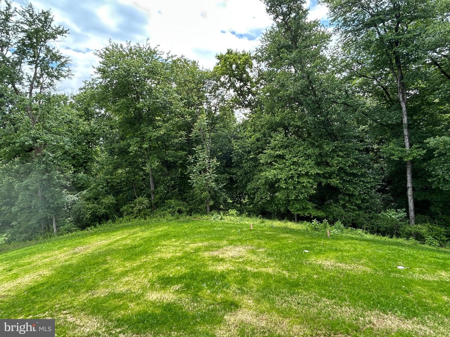 134 Magnolia Drive photo 45