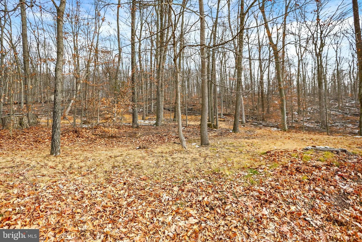 920 Cola Road photo 29
