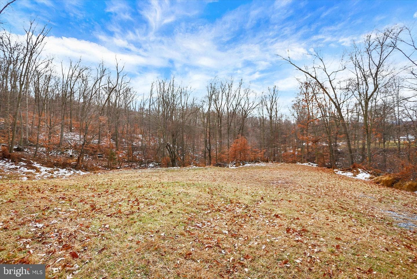 920 Cola Road photo 33