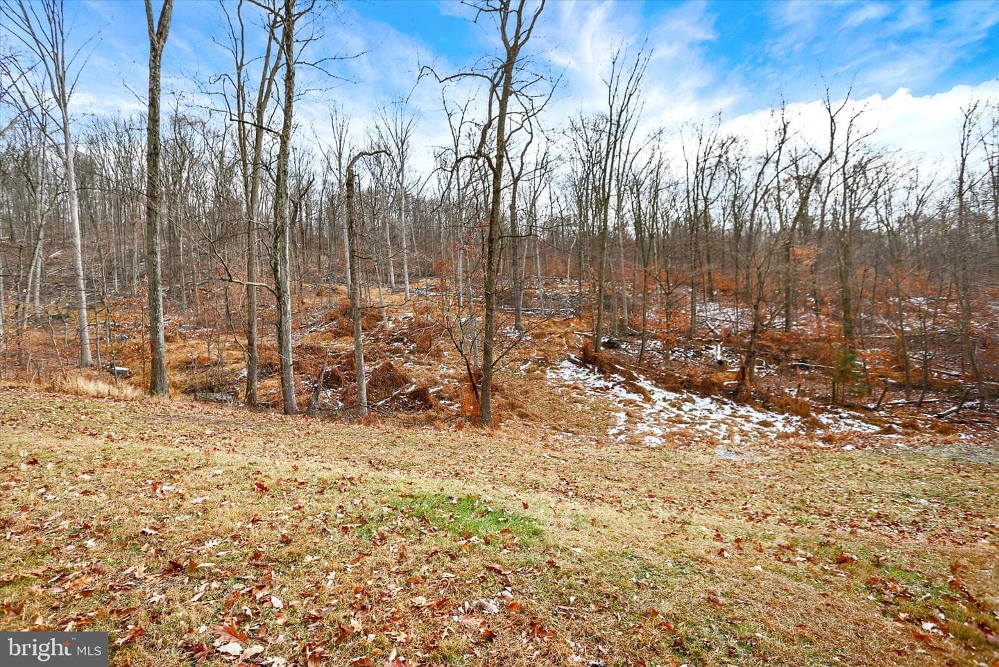 920 Cola Road photo 35
