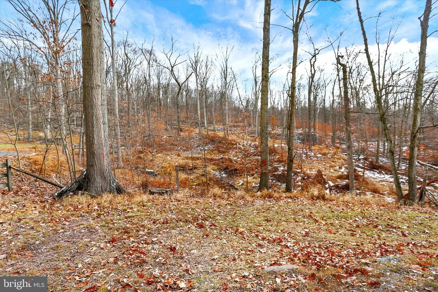 920 Cola Road photo 36