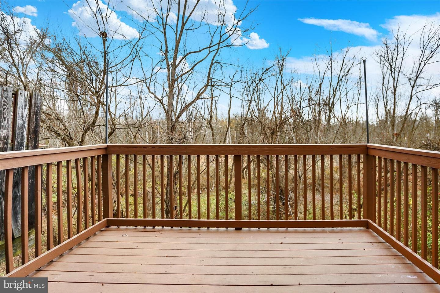 9089 Joyce Lane photo 39