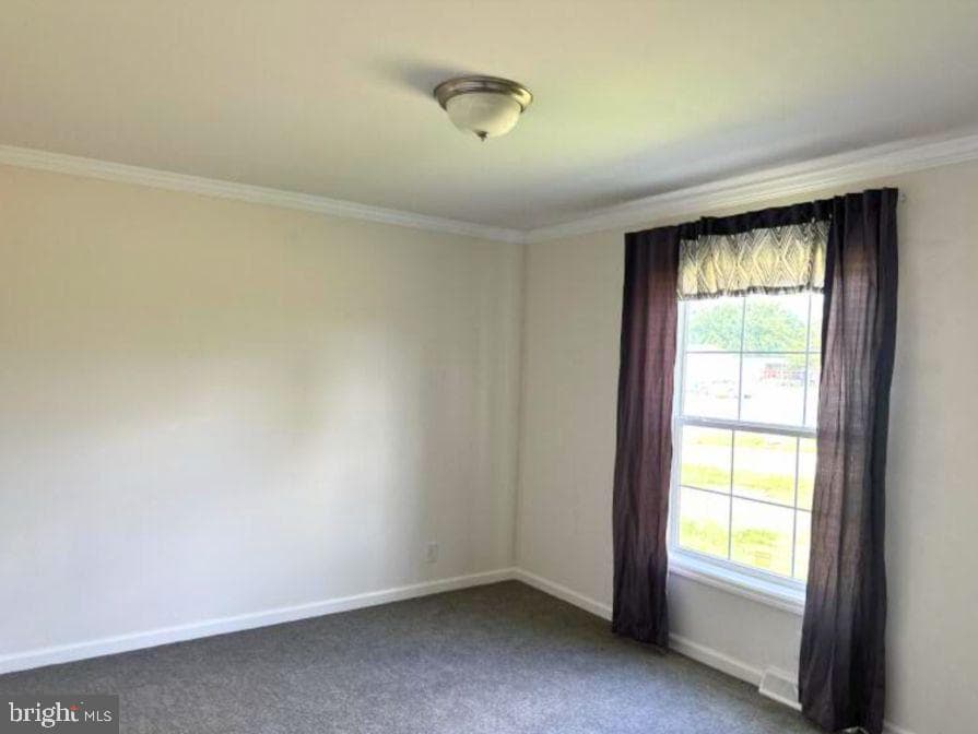 32 Rose Avenue photo 14