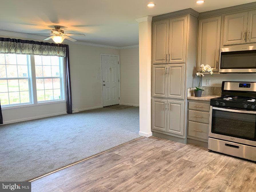 32 Rose Avenue photo 5