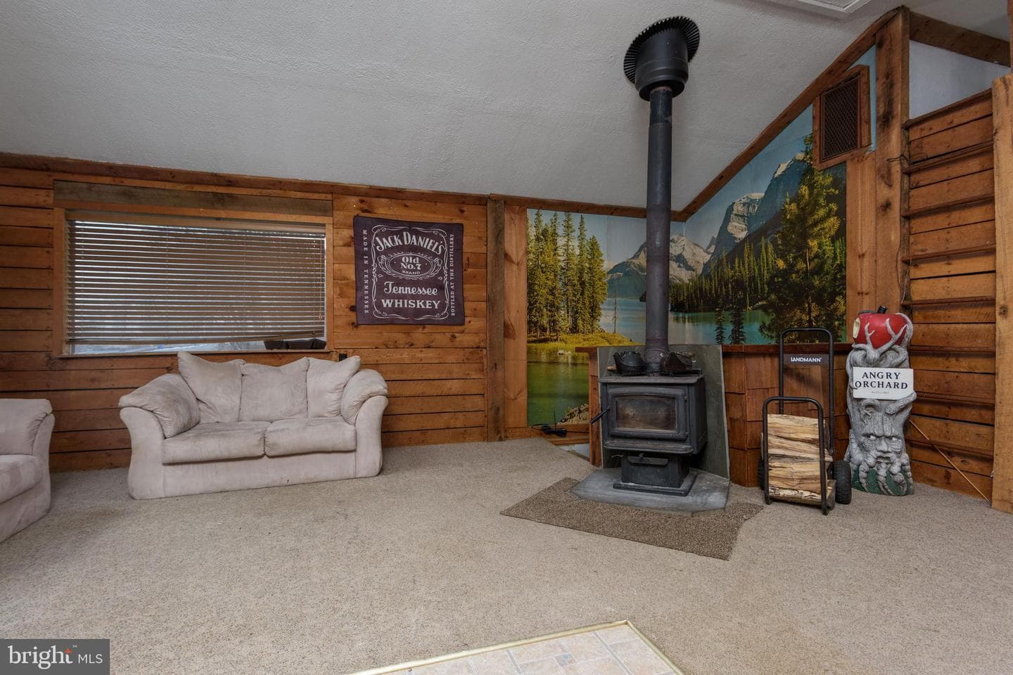 1016 Blue Ridge Road photo 16