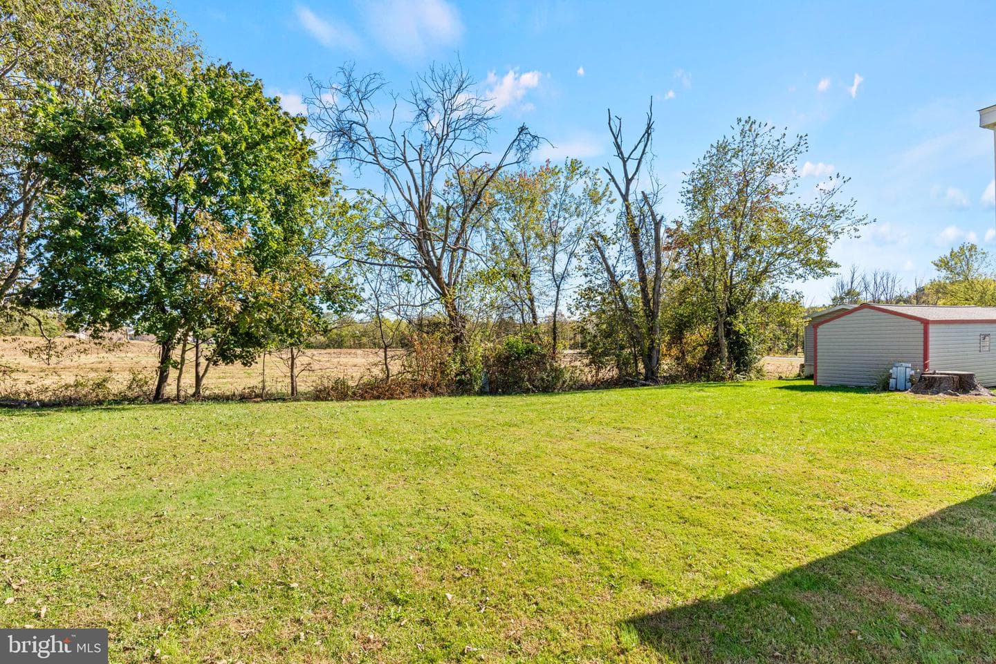 116 Brownstone Park photo 19