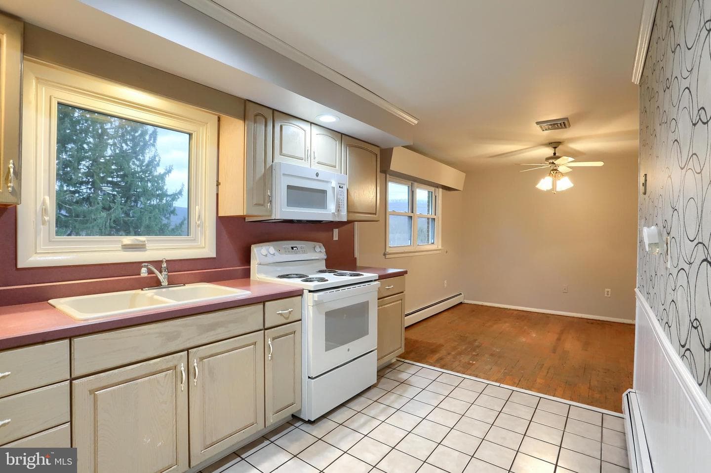 509 Shaffer Road photo 23