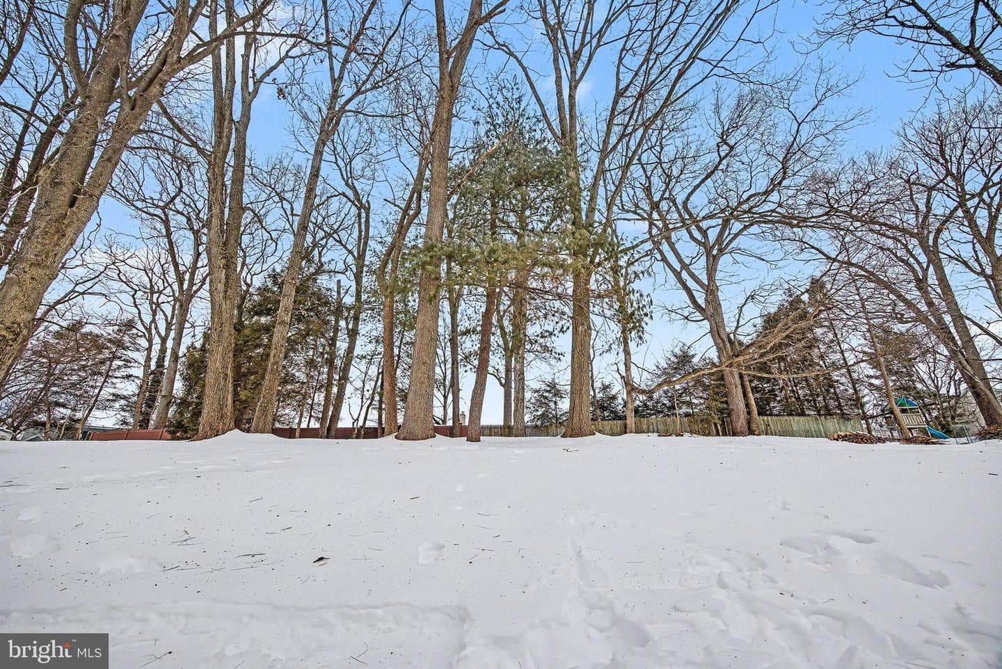 857 Twin Oaks Drive photo 24