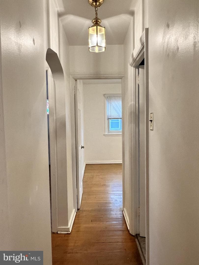 205 Linn Street photo 13