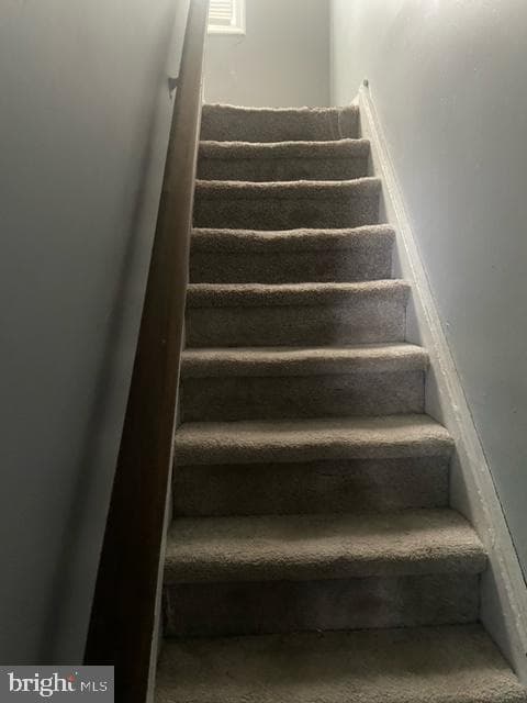 426 Hamilton Street photo 7