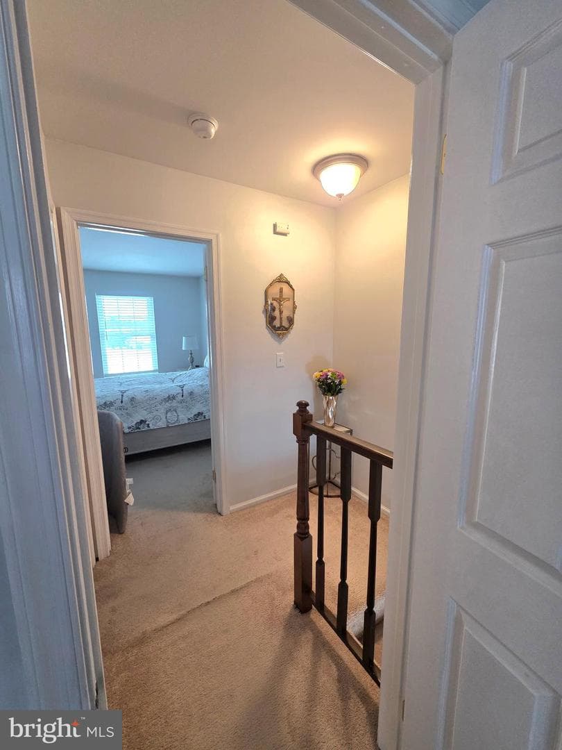 1159 Wintertide Drive photo 17
