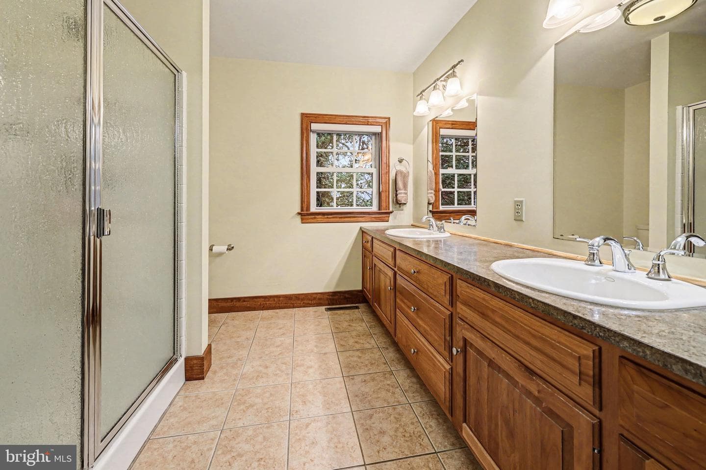 251 Maple Avenue photo 22