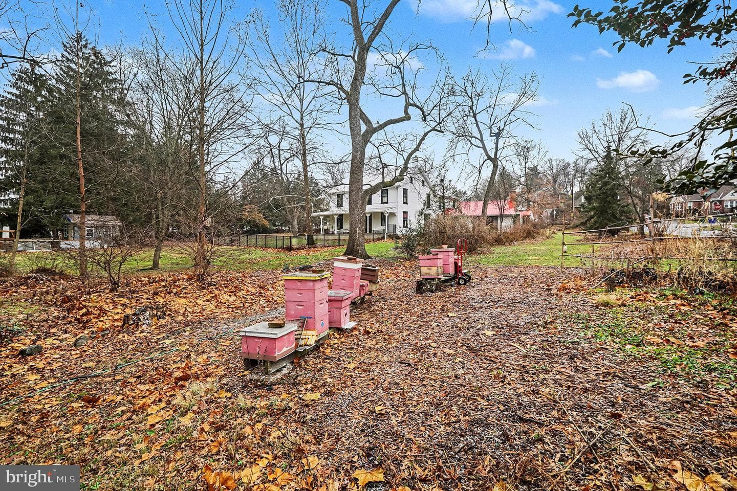 3513 Schoolhouse Lane photo 35