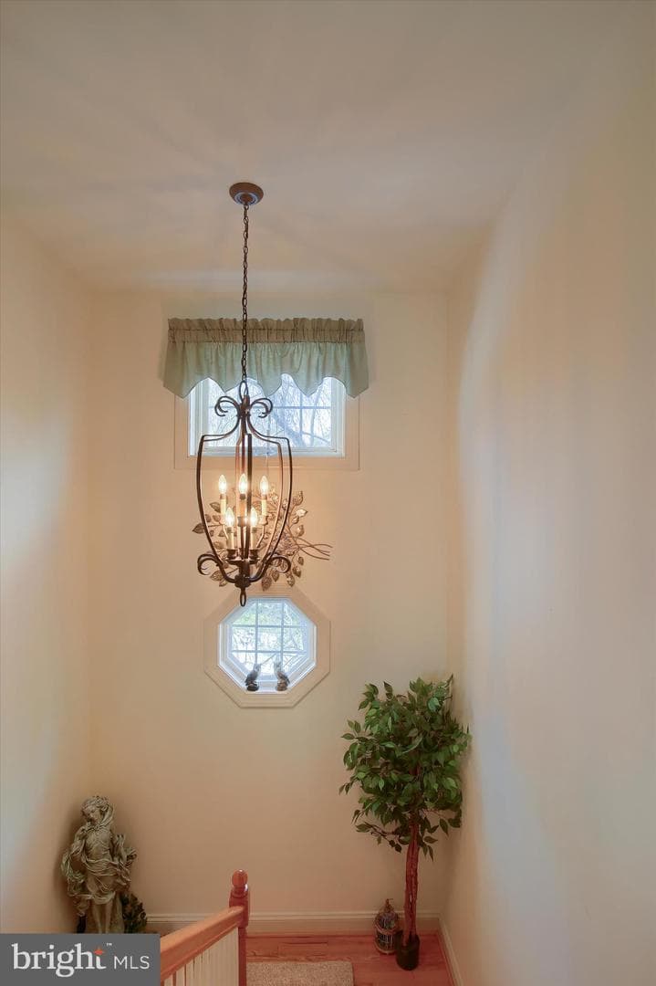 6286 Stable Court photo 40