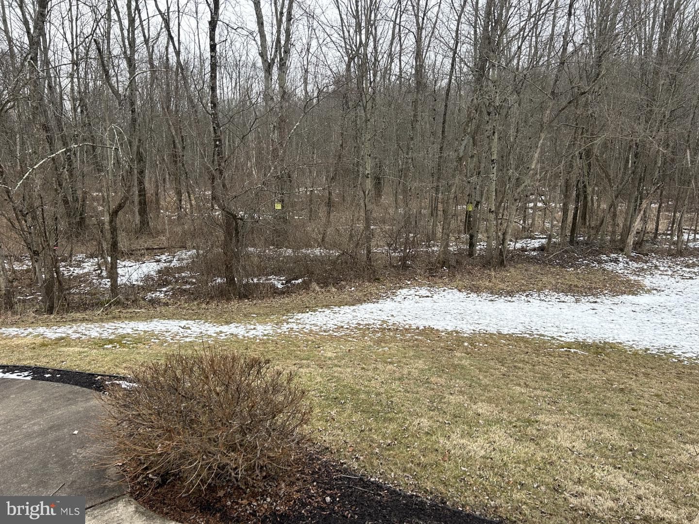 29 Meadow Run Place Place photo 14