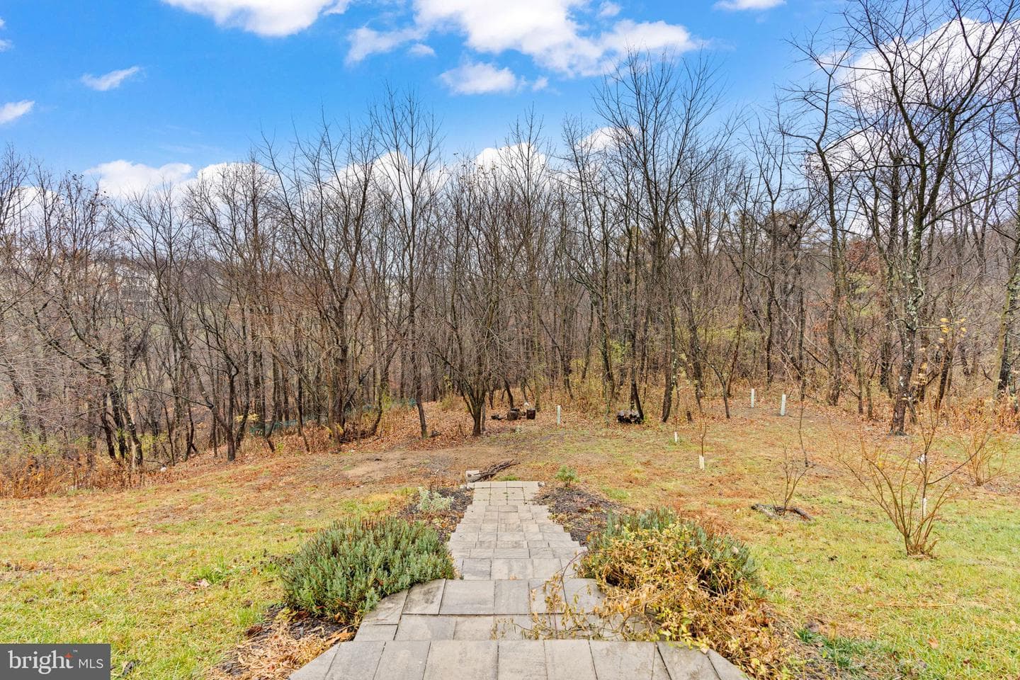 7020 Beech Tree Drive photo 39