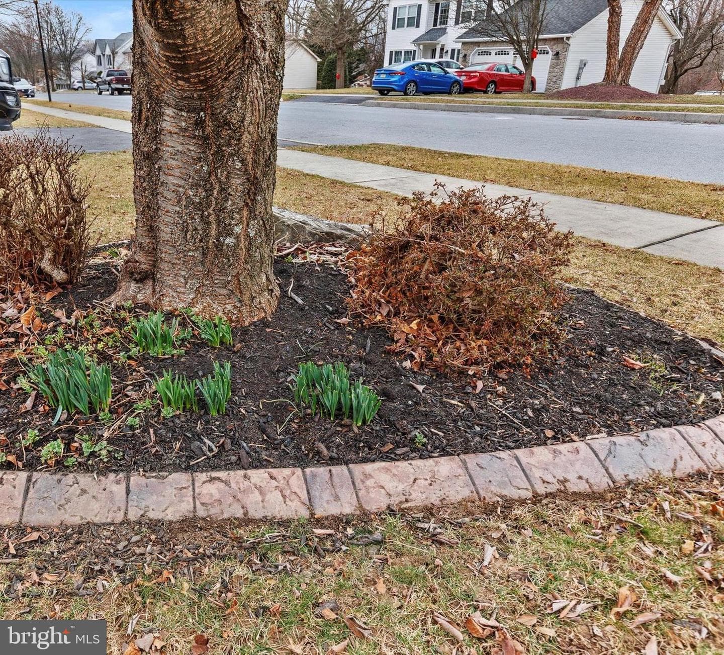 2308 Cypress Drive photo 46